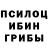 Галлюциногенные грибы Psilocybine cubensis 12.2.2021